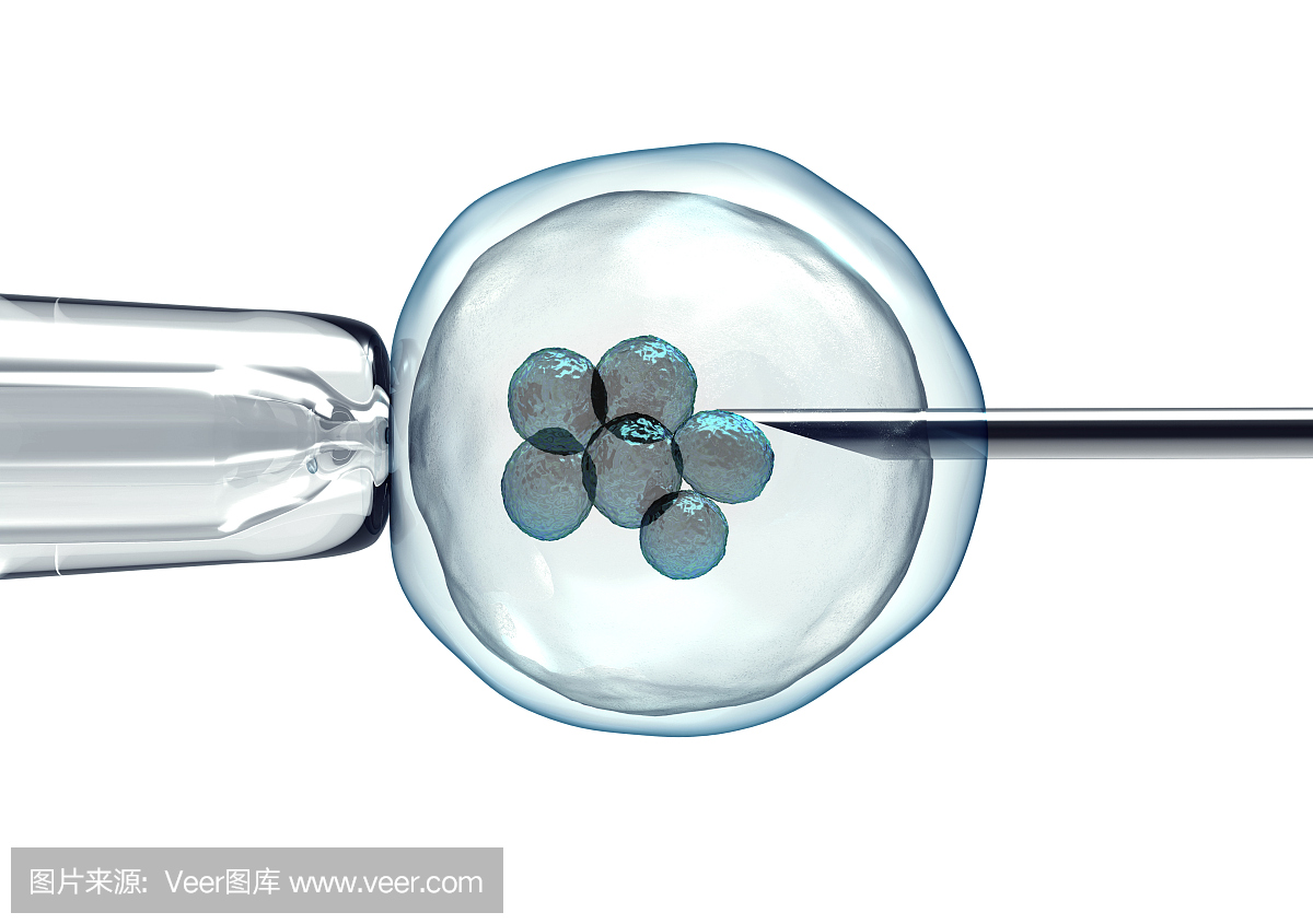 找代怀孕的注意事项-做供卵试管代生取卵前卵泡会自己出来吗_做