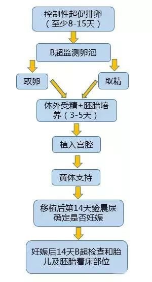 患有多囊卵巢的女性在做借卵公立代生试管前需要注意什么？应注意