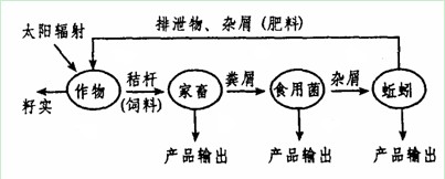 赠卵助孕供卵试管三期后肚子疼(赠卵借卵做试管代怀三期移植后肚子疼是怎么回事)