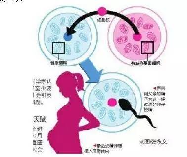 人工授精和供卵自怀医院有很大区别