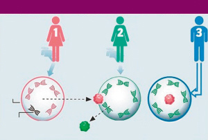 做供卵助孕代生机构男性的精子要求是什么