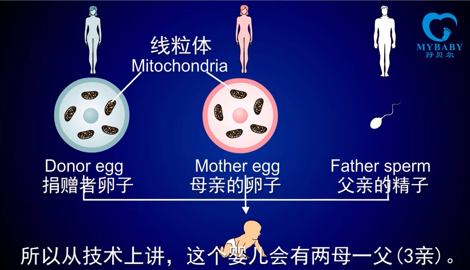 33岁卵巢早衰是什么原因导致的