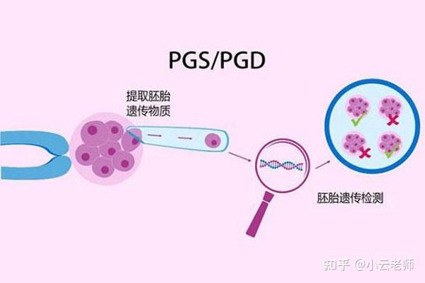 306医院代怀试管助孕医生名单,2024助孕成功率最高的大夫参考