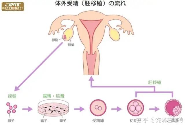 2024年一次河北廊坊哪可以代生大概是多少